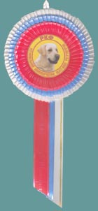 ������� � ������� ������������ ������������ ���������������� �������� ����������